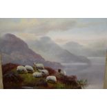 Oil on board, sheep in a Highland landscape, signed J.S. Fox, 9ins x 12ins, gilt framed, together