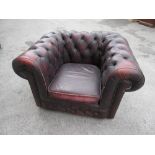 Red button leather upholstered Chesterfield type armchair