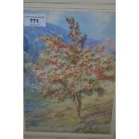 Beatrice Parsons, watercolour, a cherry tree in bloom in a mountain landscape, 10ins x 7ins, in an