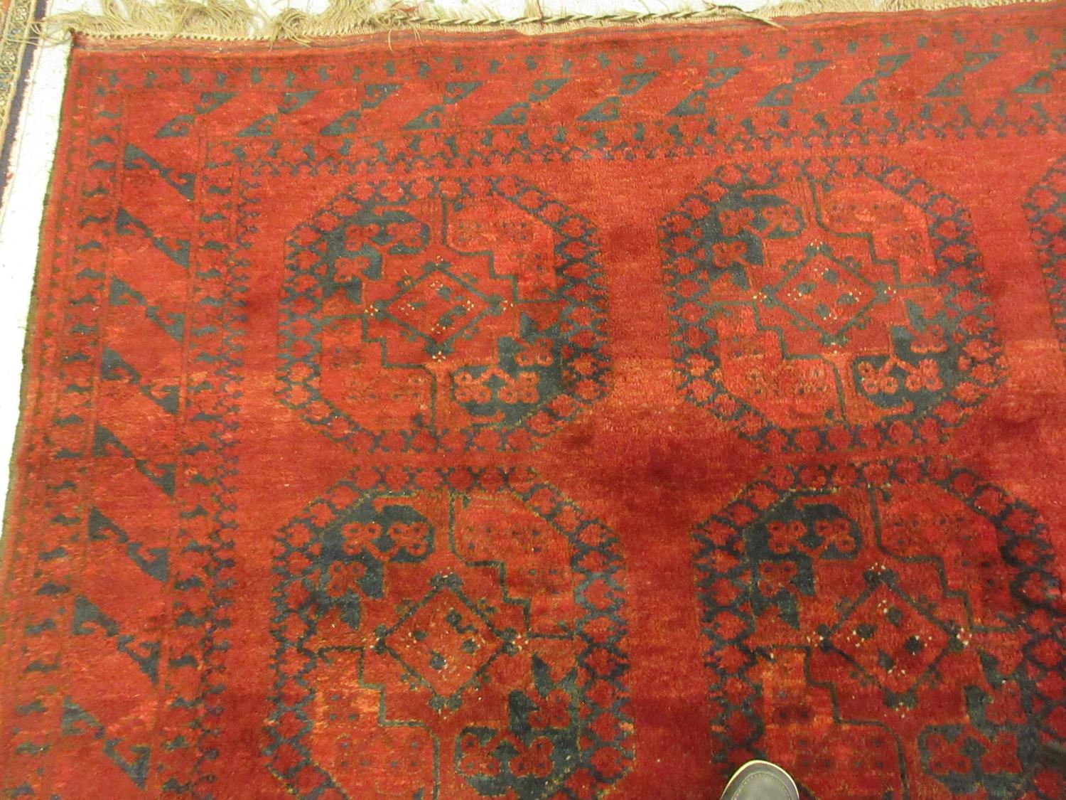 Afghan carpet with typical gol design on a red ground, 10ft x 7ft 6ins approximately Would benefit - Image 2 of 3