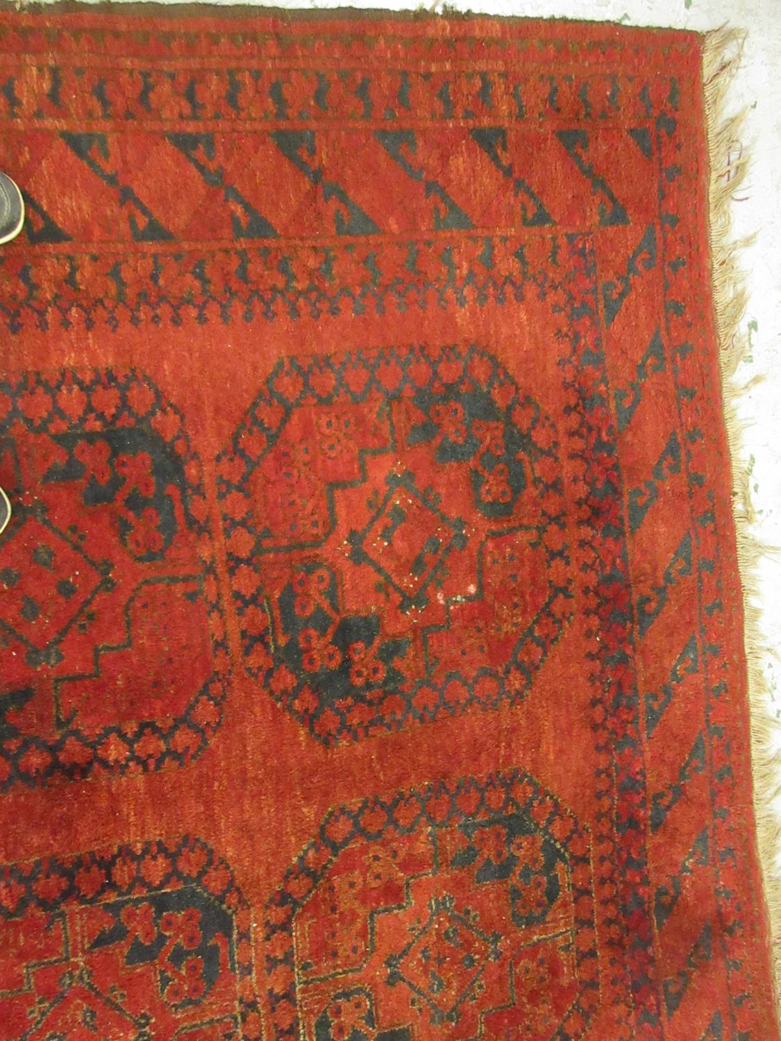 Afghan carpet with typical gol design on a red ground, 10ft x 7ft 6ins approximately Would benefit - Image 3 of 3