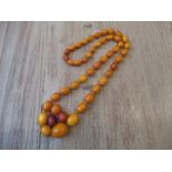 Single row graduated amber bead necklace, the largest bead approximately 20mm x 15mm, the smallest