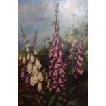 Albert Durer Lucas, oil on canvas, study of wild foxgloves and a bumblebee, signed A.D. Lucas and