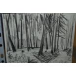 Michael Andrews, charcoal on paper, forest scene, signed with initials M.A., 4.75ins x 5.75ins,