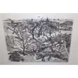 Anthohy Gross CBE RA, 1956 etching ' The Plateau ', signed in pencil, numbered 49/50, 28.5ins x 23.