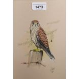 Ken Wood, group of three watercolours, birds of prey, ' Kestrel ', ' A Hobby ', and ' Peregrine