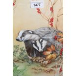 Sheila Hay, watercolour, study of badgers, 11ins x 8ins, framed, together with a small