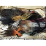 Large quantity of various birds feathers