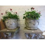 Pair of weathered cast concrete garden planters decorated in relief with grapes, 12ins high together