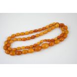 A SINGLE ROW GRADUATED AMBER BEAD NECKLACE 86cm long, 70 grams