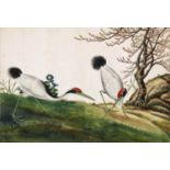 TWO VOLUMES OF CHINESE WATERCOLOURS ON PITH PAPER, to include flowers, birds, fish, insects and