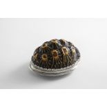 A GEORGE II SCOTTISH PROVINCIAL MOUNTED TERRAPIN/TURTLESHELL SNUFF BOX with borders of reeding and