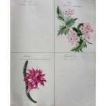 A VICTORIAN ALBUM: THE LANGUAGE OF FLOWERS comprising 79 leaves plus 5 pages of index, the 23