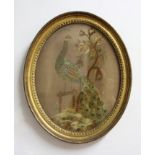 PAIR OF 19TH CENTURY SILK NEEDLEWORK PICTURES, of a peacock and a peahen, in gilt oval frames,