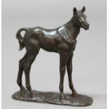 STUDY OF A FOAL, 20th century, signed D. Montagu, limited edition no. 1/9, bronze, height 30cm