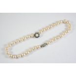 A SINGLE ROW UNIFORM CULTURED PEARL CHOKER the pearls measure approximately 9.0mm and are centred