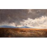 •BERRISFORD HILL WOODCOCK IN FLIGHT, HARRIS, HEBRIDES Signed, oil on canvas 54.5 x 90cm.