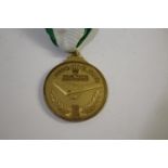 ROLEX JAPANESE HANG GLIDING MEDALLION - 1978 a presentation gilt metal medallion for the Hang