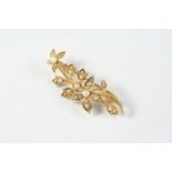 A 15CT GOLD AND PEARL SET FOLIATE SPRAY BROOCH set overall with graduated half pearls, 4.5cm long