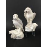 PAIR OF CHINESE DEHUA STYLE PARROTS probably 19th century, in white, modelled standing on a rock