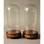 PAIR OF VICTORIAN GLASS DOMES the bases with boxwood floral inlay, for taxidermy or figures,