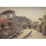 ERNEST ARTHUR ROWE (1863-1922) A PEACOCK IN AN ITALIANATE GARDEN Signed, watercolour 22.25 x