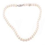 18KT White Gold and Pearl Necklace, Mikimoto
