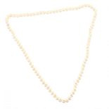 Single Strand Pearl Necklace