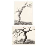 after Alphonse Nicholas-Michel Mandevare (French, 1759â€“1829), Two Studies of a Windswept Tree