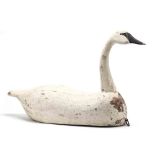 Large Vintage Swan Decoy after W. Curtis