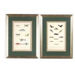 Two Antique Fish and Bird Prints from Martyn's A New Dictionary of Natural History</i&g