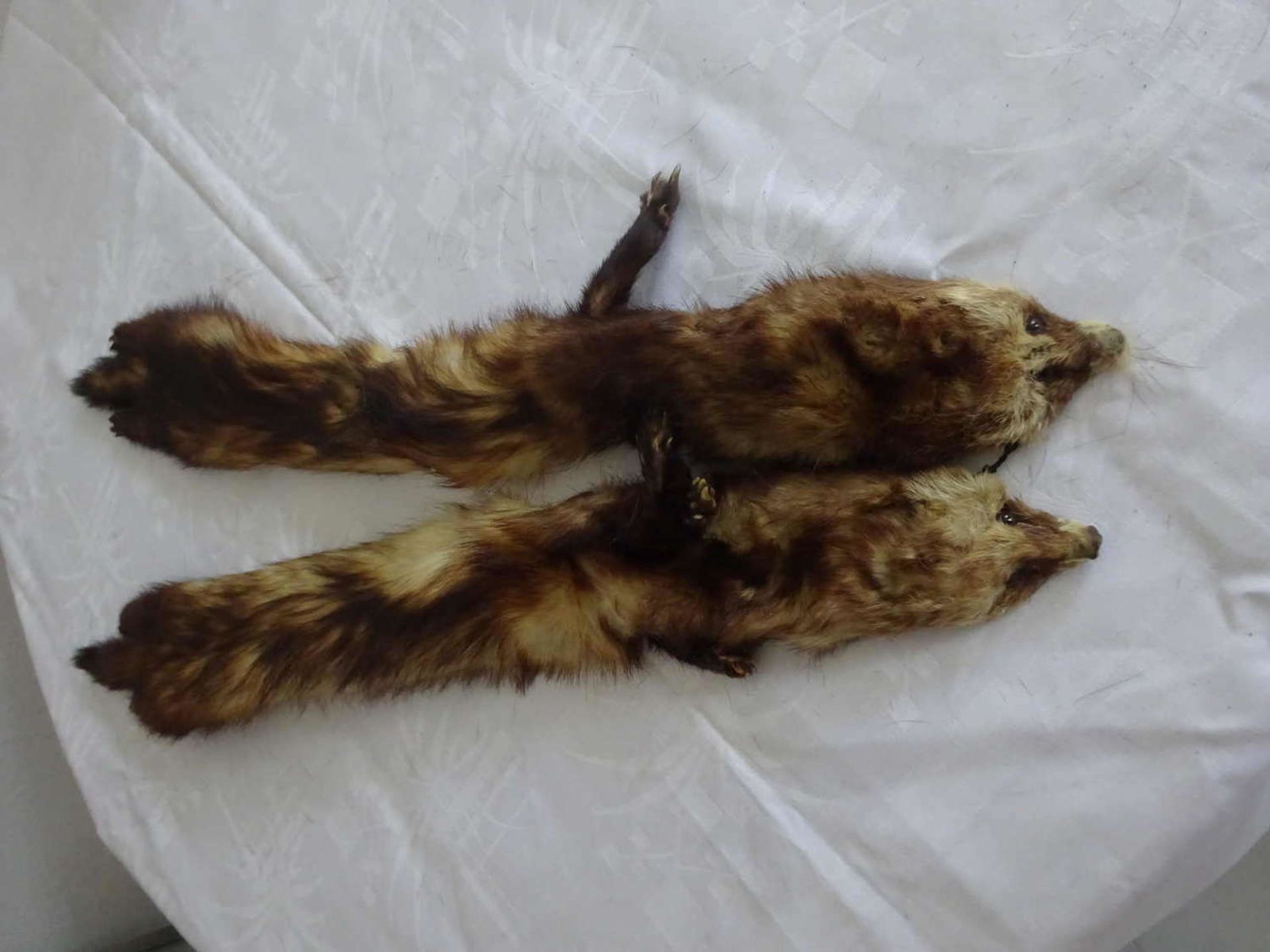 1 fur collar, consisting of 2 raccoon skins. Please visit!