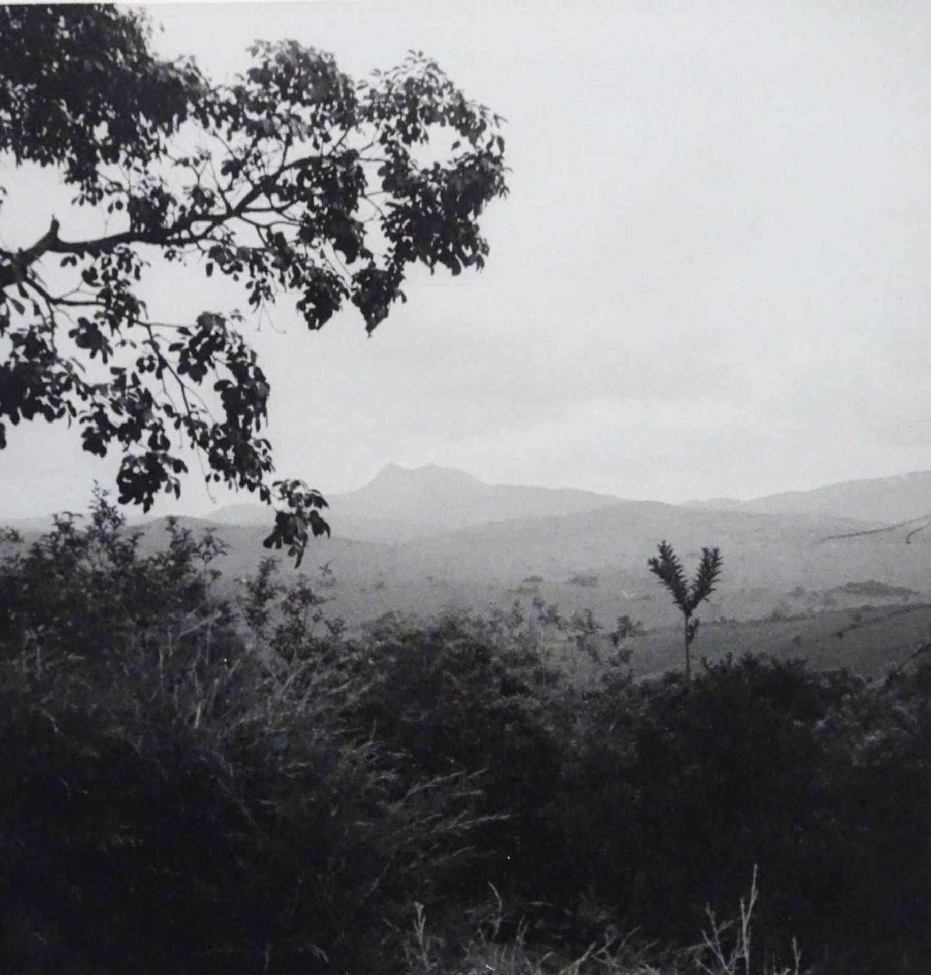 Photographs of a Carajá, dated 1939, in pencil on the carrier box. 2 black and white photos of a - Image 2 of 3