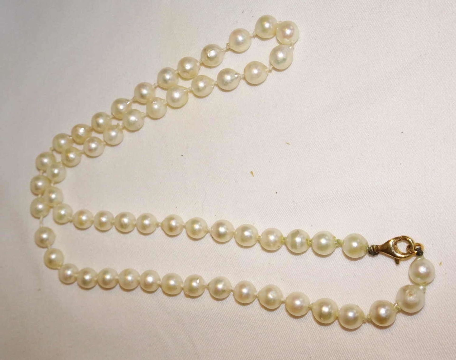 Real pearl necklace with 585 yellow gold clasp. Chain length approx. 49 cm