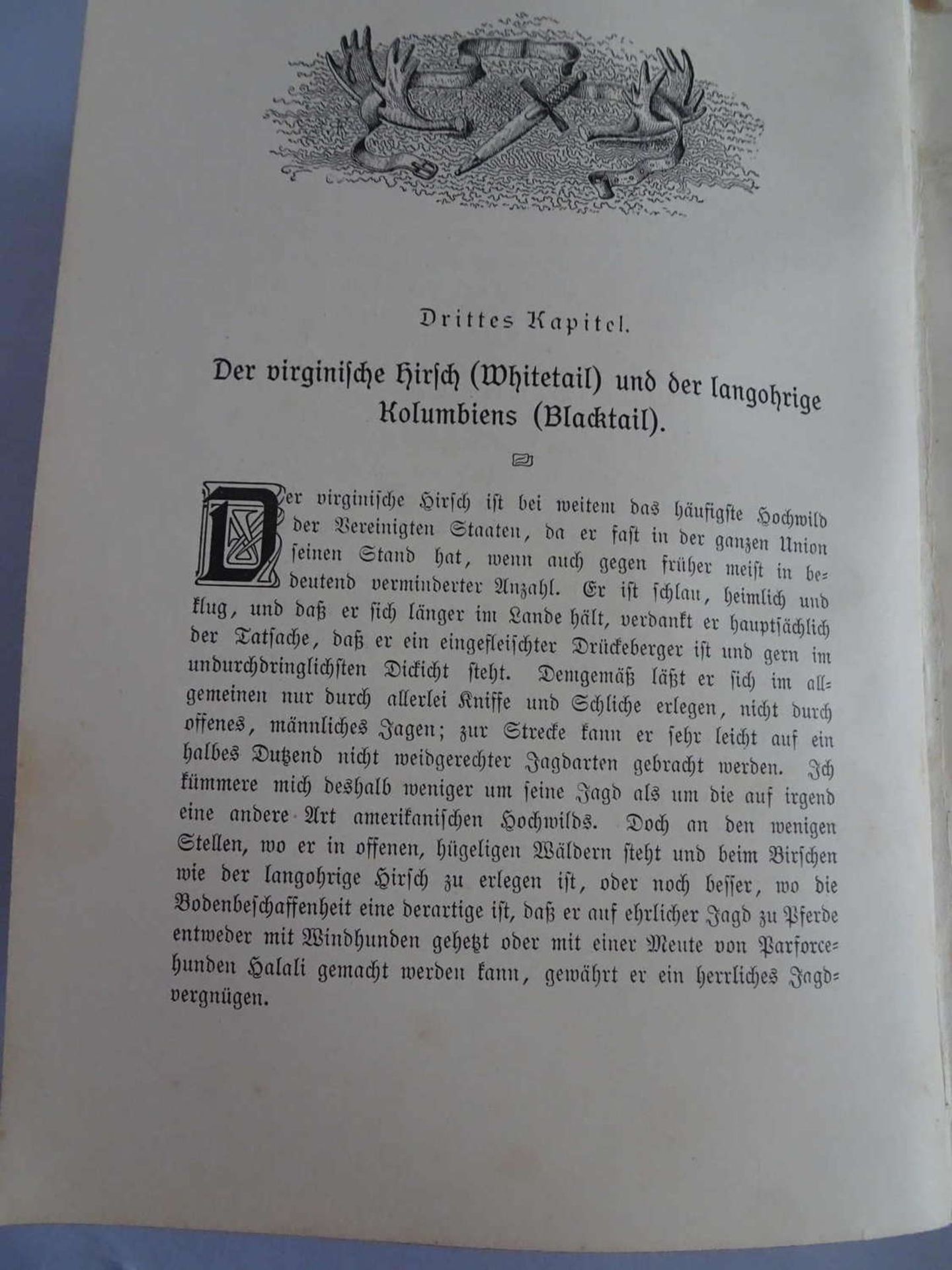 Theodore Roosevelt - Jagden in amerikanischer Wildnis, Dritte Auflage, Berlin 1905Theodore Roosevelt - Bild 3 aus 3