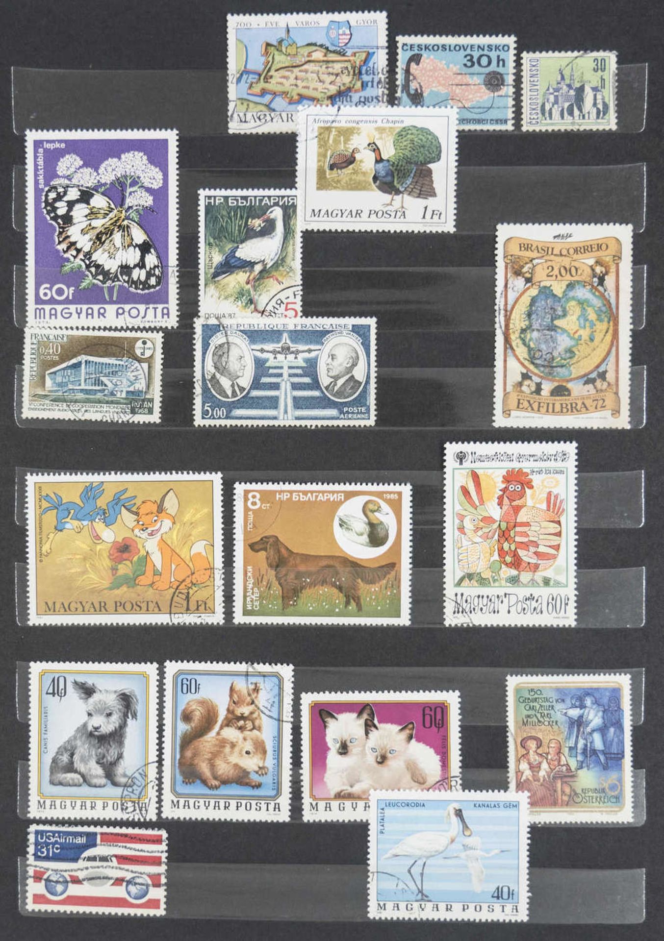 Steck - Album "alrabra" mit Briefmarken - Sammlung aus aller Welt. Überwiegend gestempelt. Eine - Bild 9 aus 13