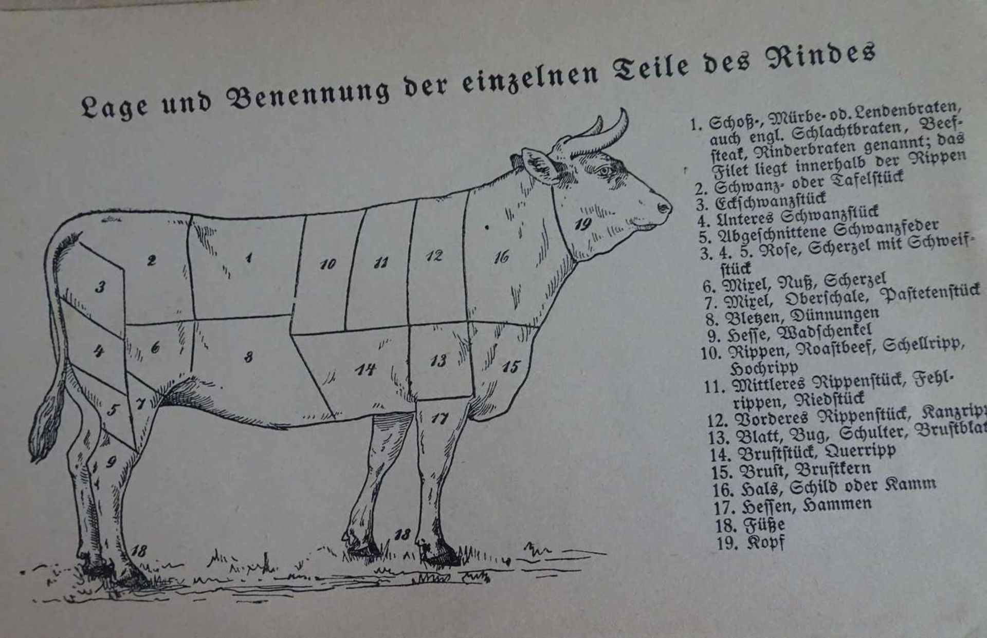 Luise Schäfer´s Neues Kochbuch für die bürgerliche und die feine Küche, Stuttgart ca. 1920Luise - Bild 3 aus 3
