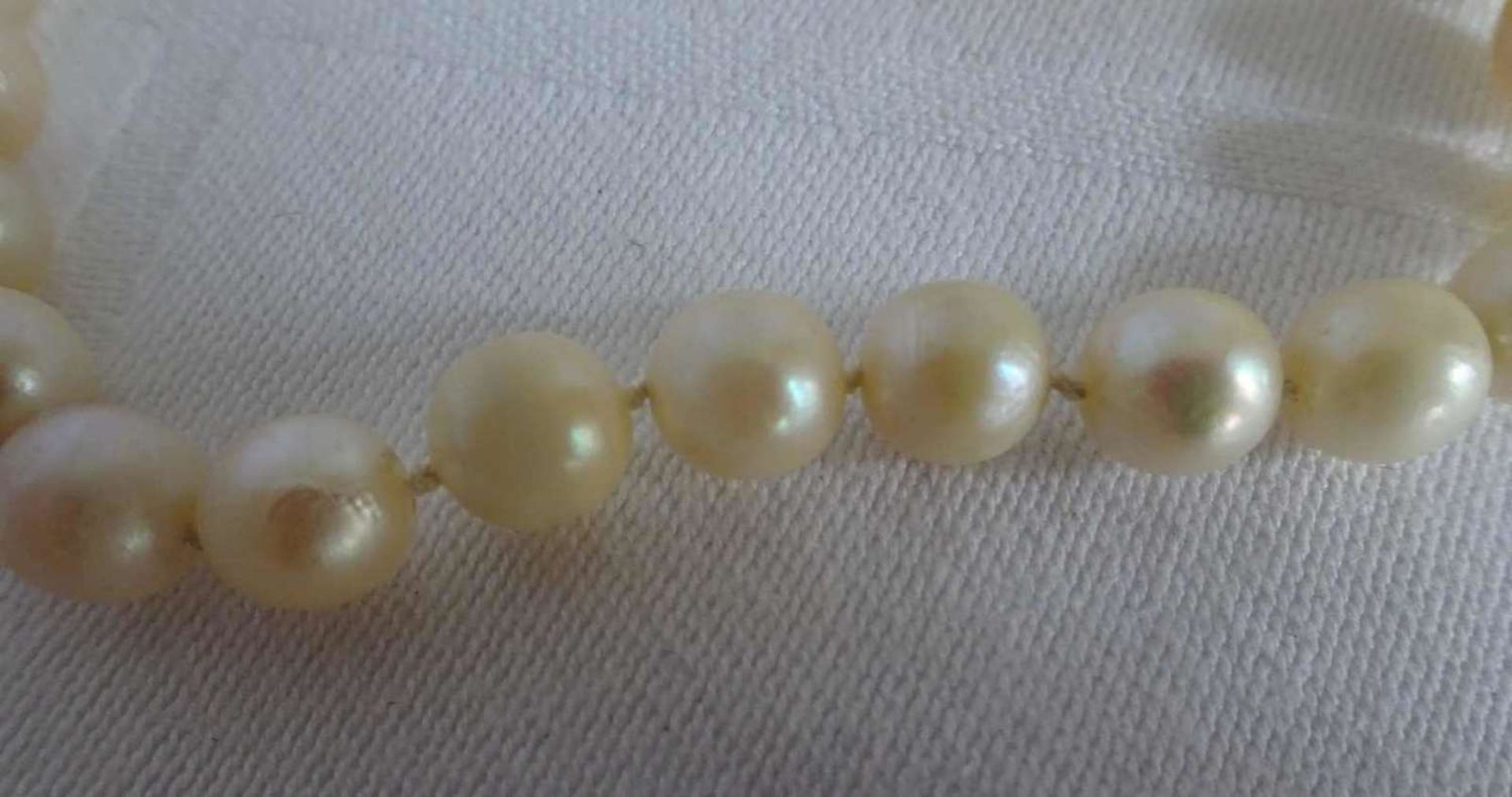 Perlenkette mit 333er Weißgoldverschluß. Länge ca. 47,5 cm. - Bild 3 aus 3
