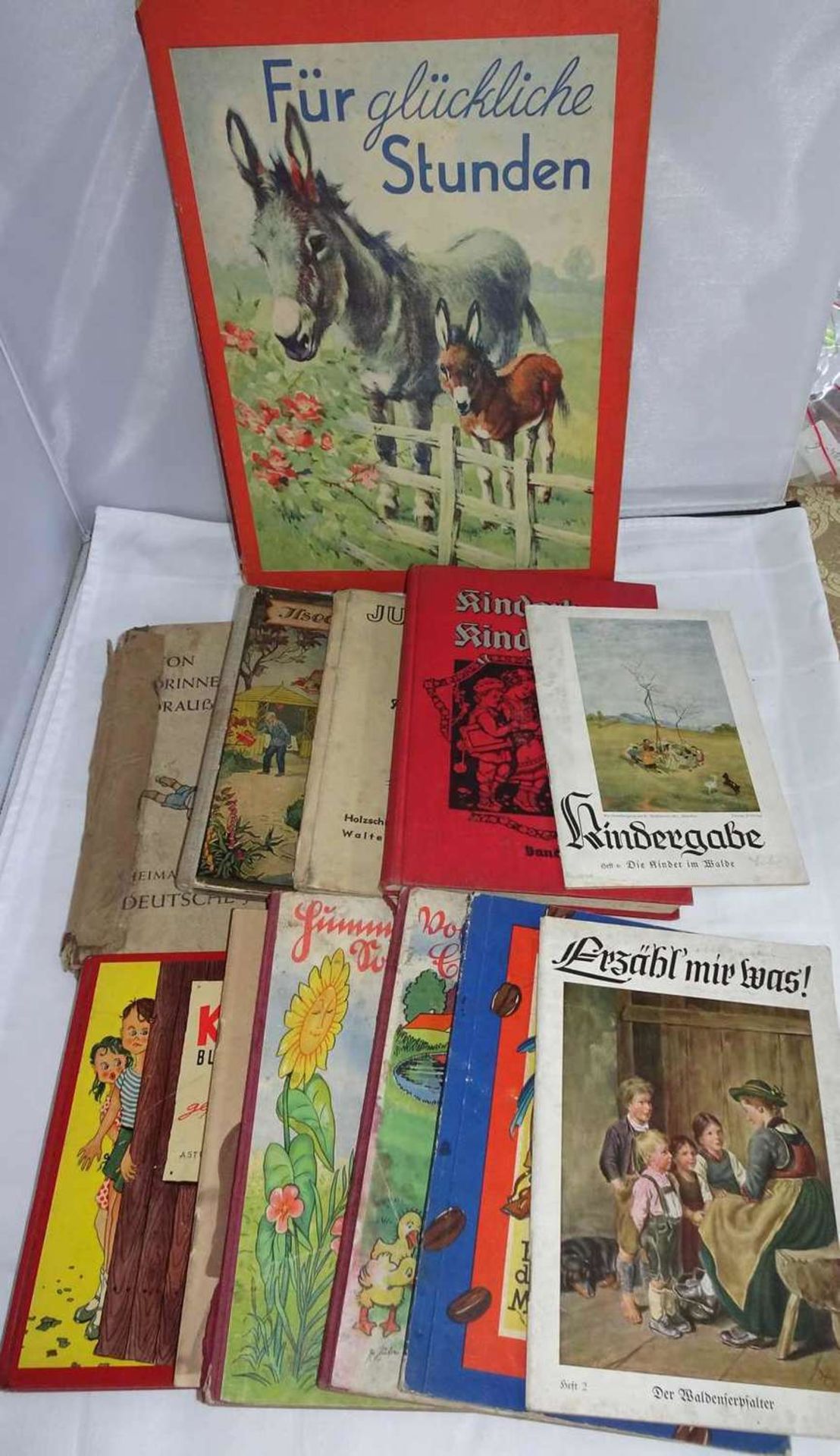 Lot alte Kinderbücher, dabei "Wie Fritz Stramm und der schwarze Jim die Menschheit beglücken",