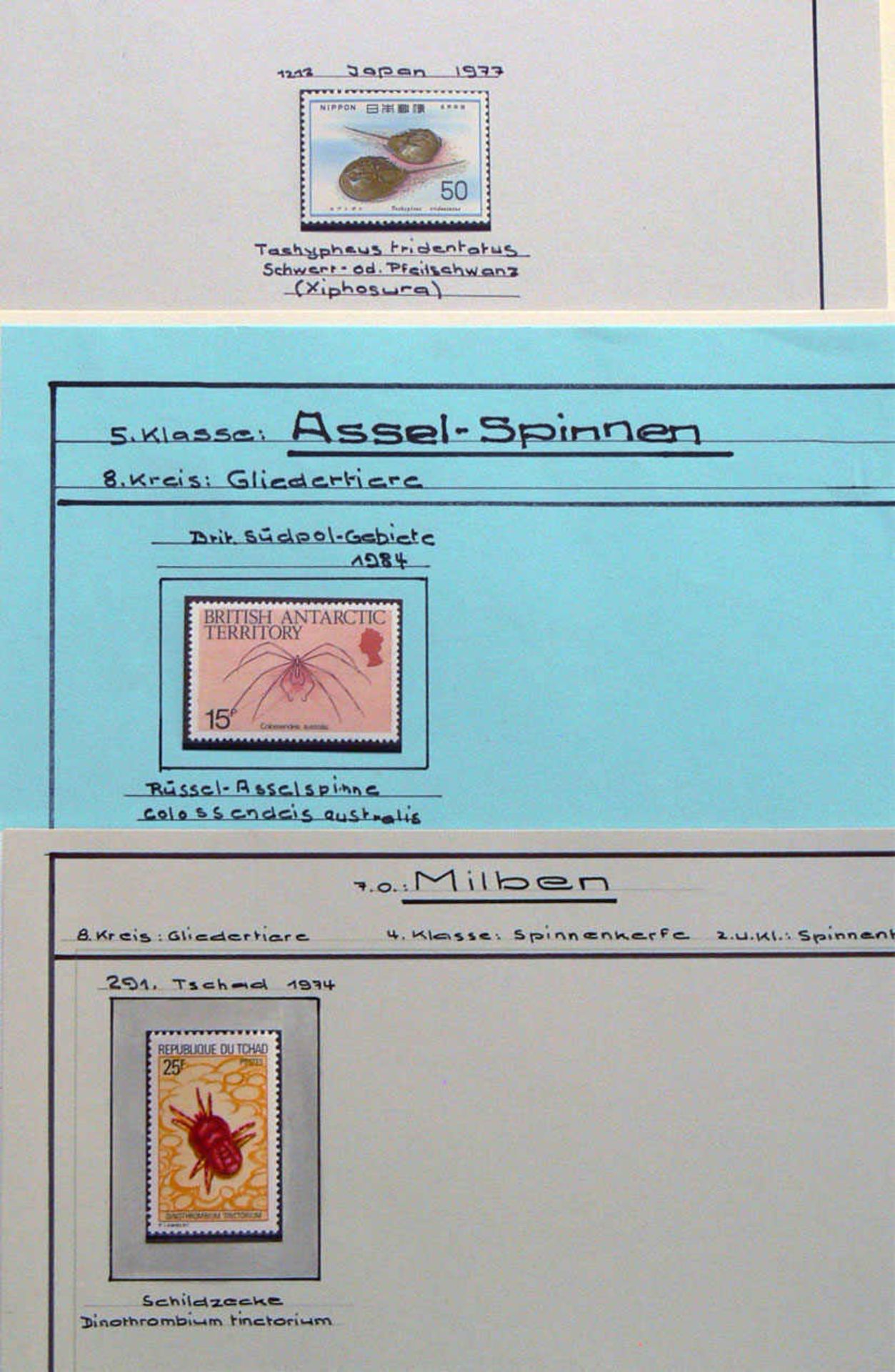 Weltweit 1961/87, kleine Sammlung Ameisen, Skorpione, Spinnen und Spinnentiere auf Blättern sauber - Bild 4 aus 4