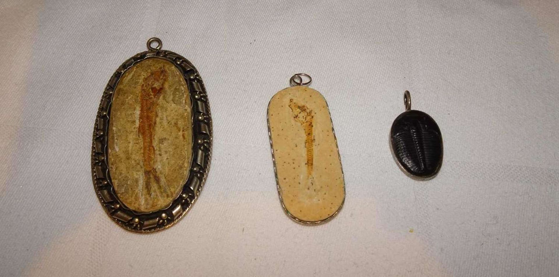 3 Anhänger - Fossilien, 2x versteinerter Fisch, etc. 3 pendants - fossils, 2x petrified fish, etc.