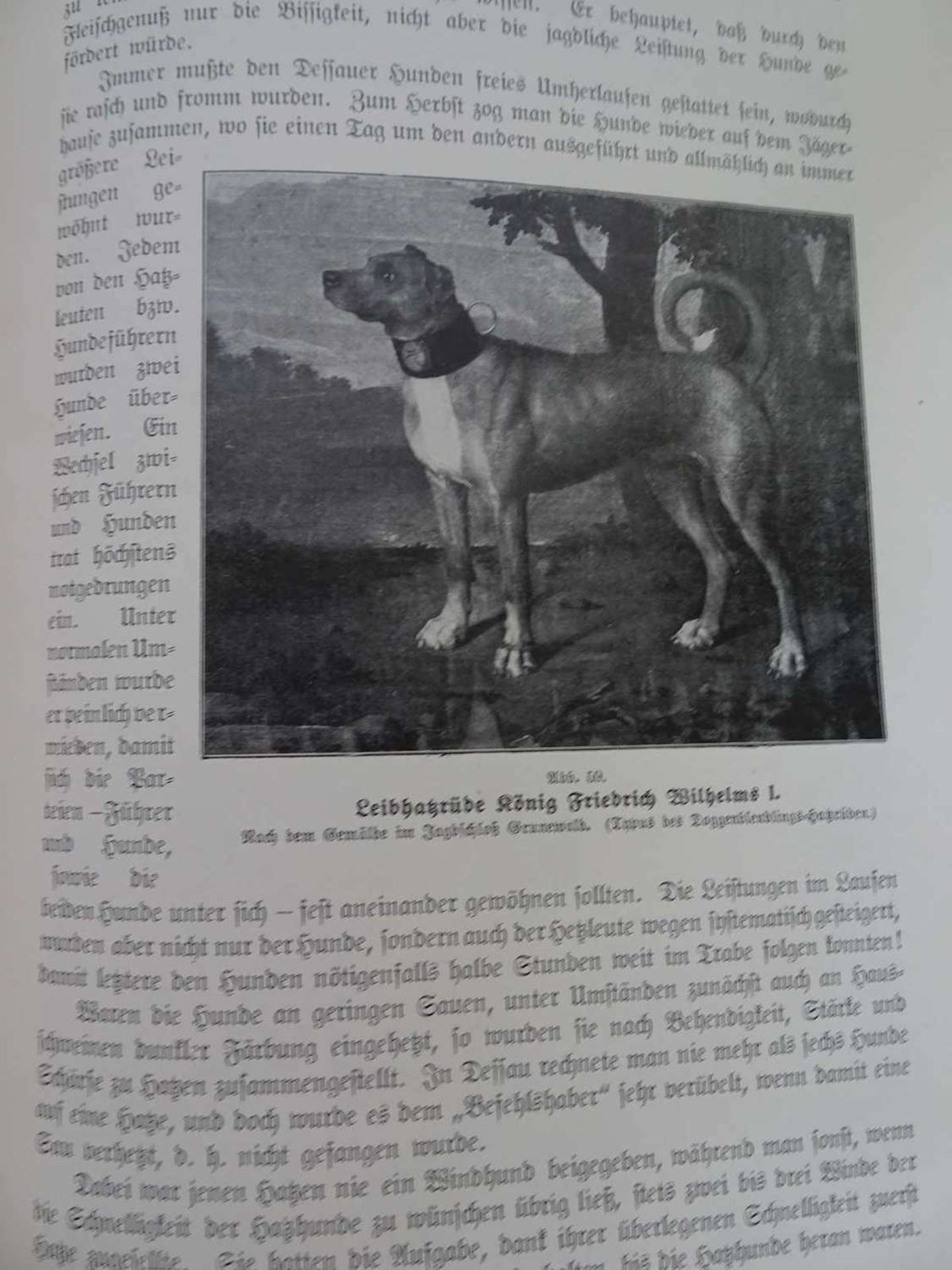 W. von Kiessling, Das Schwarzwild. Mit 110 Textabb. Und 14 zum Teil farbigen Kunstdrucktafeln. - Image 2 of 2