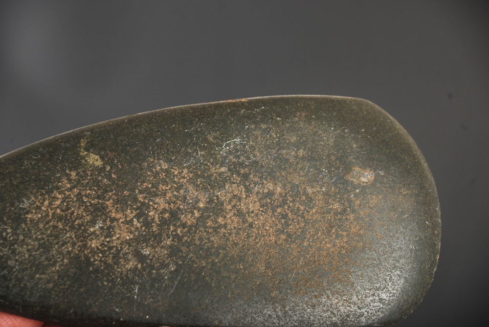 Antiquities- A collection of eight Southern French green stone hand tools/ adzes, 19th century and - Image 10 of 12