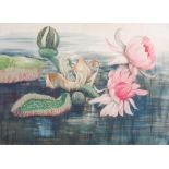 19th/ 20th century British School Botanical scene with water lilies watercolour 36cm x 50cm