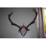 STAGS ANTLERS MOUNTED ON SHIELD