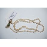 SINGLE STRAND GRADUATED PEARL NECKLACE WITH YELLOW METAL AND TURQUOISE GREEN CABOCHON DETAIL TO