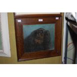 OAK FRAMED OIL - KING CHARLES SPANIEL - BY CATHERINE TREADY