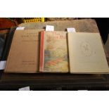 THREE CHILDRENS BOOKS INCLUDING THE WATER BABIES BY CHARLES KINGSLEY, FORTY FINE LADIES BY PATRICK