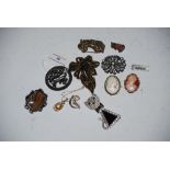 COLLECTION OF ASSORTED BROOCHES INCLUDING TWO CAMEO BROOCHES, YELLOW METAL BROOCH WITH OPAL,