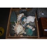 BOX - ASSORTED SHELLS INCLUDING CLAM SHELLS, GRANITE STONES, CRAB CLAWS, ETC.